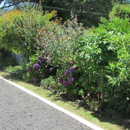 Cozy Haven - Waihi Apartment Luaran gambar
